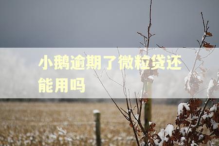 小鹅逾期了微粒贷还能用吗
