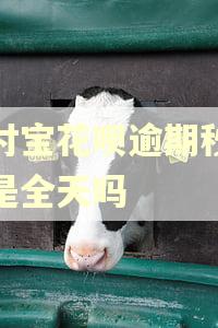 支付宝花呗逾期秒扣都是全天吗