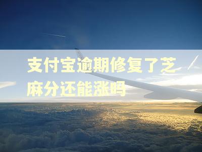支付宝逾期修复了芝麻分还能涨吗
