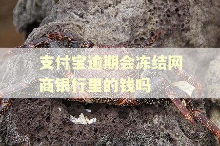 支付宝逾期会冻结网商银行里的钱吗 支付宝逾期会冻结网商银行里的钱吗