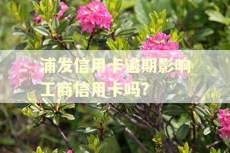 浦发信用卡逾期影响工商信用卡吗?