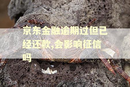 京东金融逾期过但已经还款,会影响征信吗