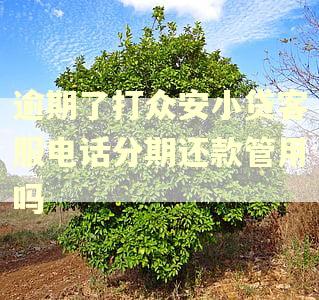 逾期了打众安小贷客服电话分期还款管用吗