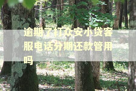 逾期了打众安小贷客服电话分期还款管用吗 逾期了打众安小贷客服电话分期还款管用吗