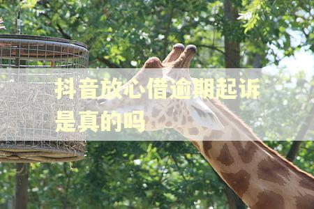 抖音放心借逾期起诉是真的吗