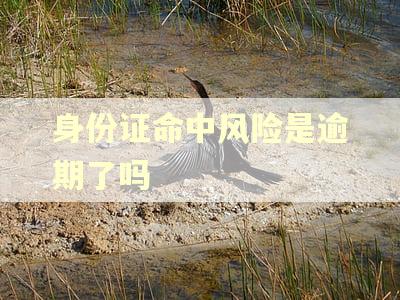 身份证命中风险是逾期了吗