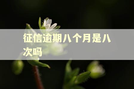 征信逾期八个月是八次吗