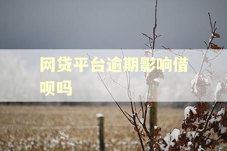 网贷平台逾期影响借呗吗