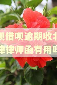 花呗借呗逾期收北京威律律师函有用吗