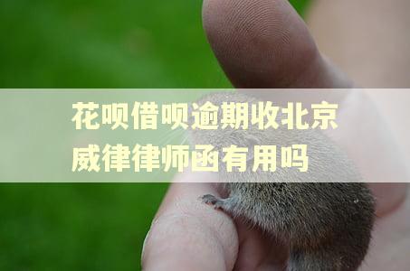 花呗借呗逾期收北京威律律师函有用吗
