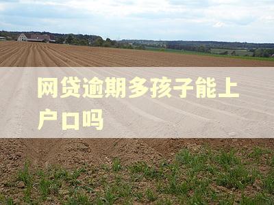 网贷逾期多孩子能上户口吗