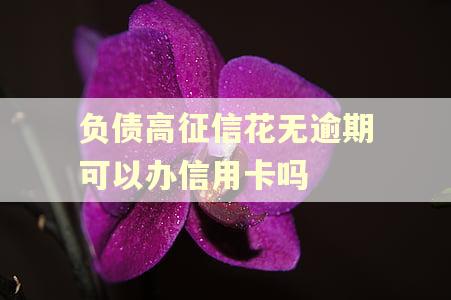 负债高征信花无逾期可以办信用卡吗