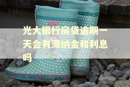 光大银行房贷逾期一天会有滞纳金和利息吗