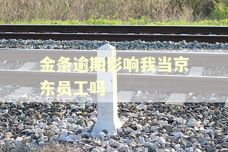 金条逾期影响我当京东员工吗