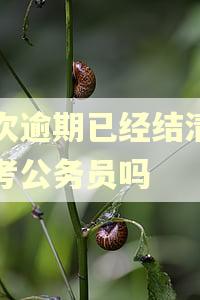 多次逾期已经结清影响考公务员吗