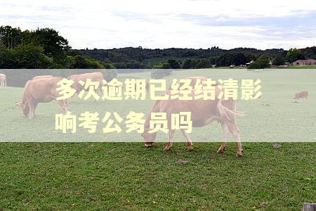 多次逾期已经结清影响考公务员吗
