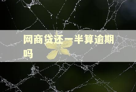 网商贷还一半算逾期吗 网商贷还一半算逾期吗