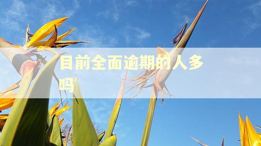 目前全面逾期的人多吗
