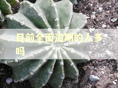 目前全面逾期的人多吗