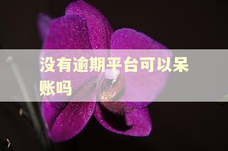 没有逾期平台可以呆账吗