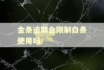 金条逾期会限制白条使用吗