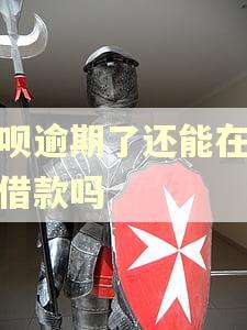 借呗逾期了还能在美团借款吗