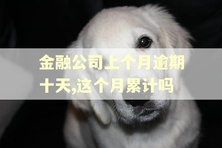 金融公司上个月逾期十天,这个月累计吗