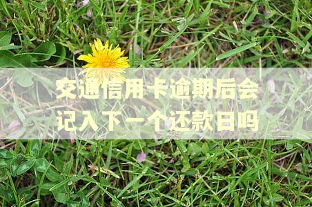 交通信用卡逾期后会记入下一个还款日吗