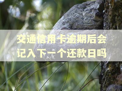 交通信用卡逾期后会记入下一个还款日吗