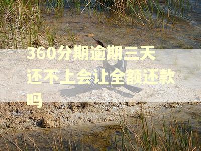 360分期逾期三天还不上会让全额还款吗 360分期逾期三天还不上会让全额还款吗