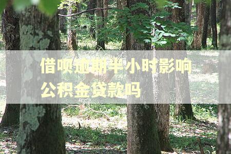 借呗逾期半小时影响公积金贷款吗