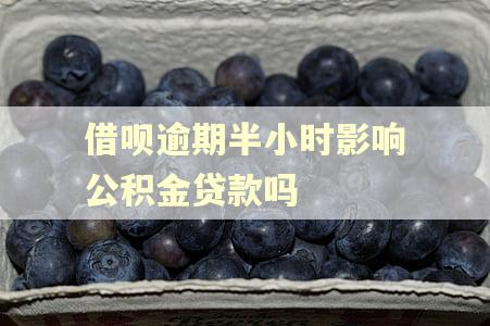 借呗逾期半小时影响公积金贷款吗