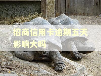 招商信用卡逾期五天影响大吗