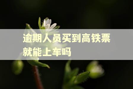 逾期人员买到高铁票就能上车吗