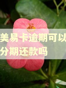 国美易卡逾期可以进行分期还款吗