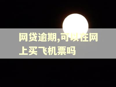 网贷逾期,可以在网上买飞机票吗