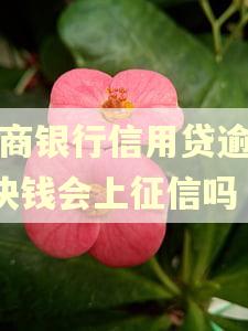 招商银行信用贷逾期1块钱会上征信吗