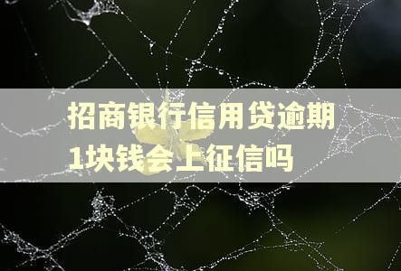 招商银行信用贷逾期1块钱会上征信吗