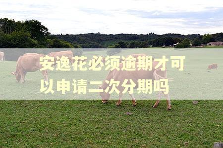 安逸花必须逾期才可以申请二次分期吗 安逸花必须逾期才可以申请二次分期吗