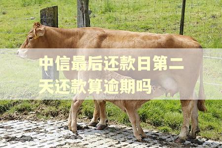 中信最后还款日第二天还款算逾期吗