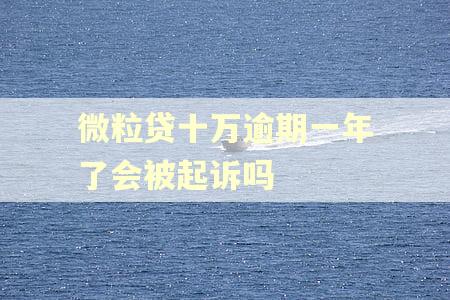 微粒贷十万逾期一年了会被起诉吗