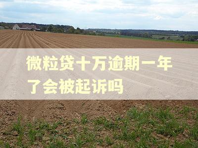微粒贷十万逾期一年了会被起诉吗