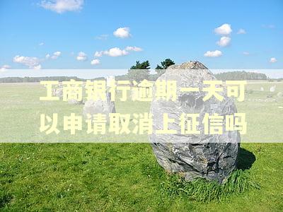 工商银行逾期一天可以申请取消上征信吗