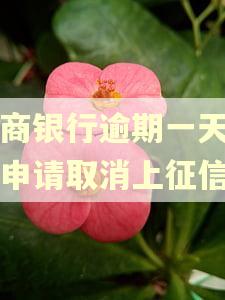 工商银行逾期一天可以申请取消上征信吗