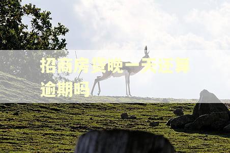 招商房贷晚一天还算逾期吗