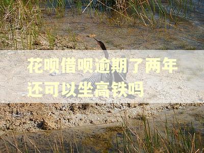 花呗借呗逾期了两年还可以坐高铁吗