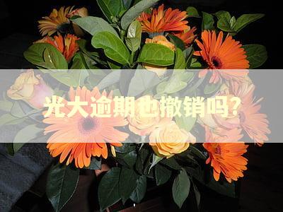 光大逾期也撤销吗?
