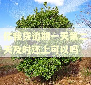 你我贷逾期一天第二天及时还上可以吗