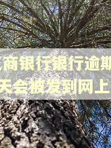 工商银行银行逾期30天会被发到网上吗