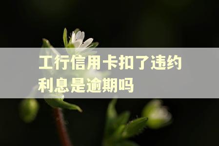 工行信用卡扣了违约利息是逾期吗